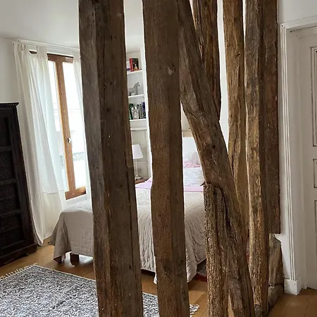 Large Atypical Duplex In Paris
